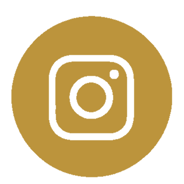 icone-instagram